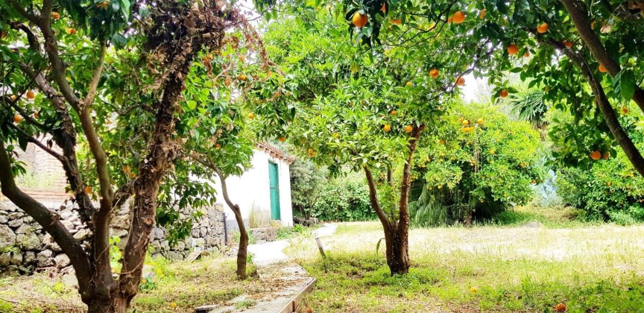 Villa L'Aranceto Acireale Exterior foto